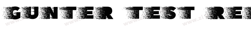 Gunter Test Regular字体转换